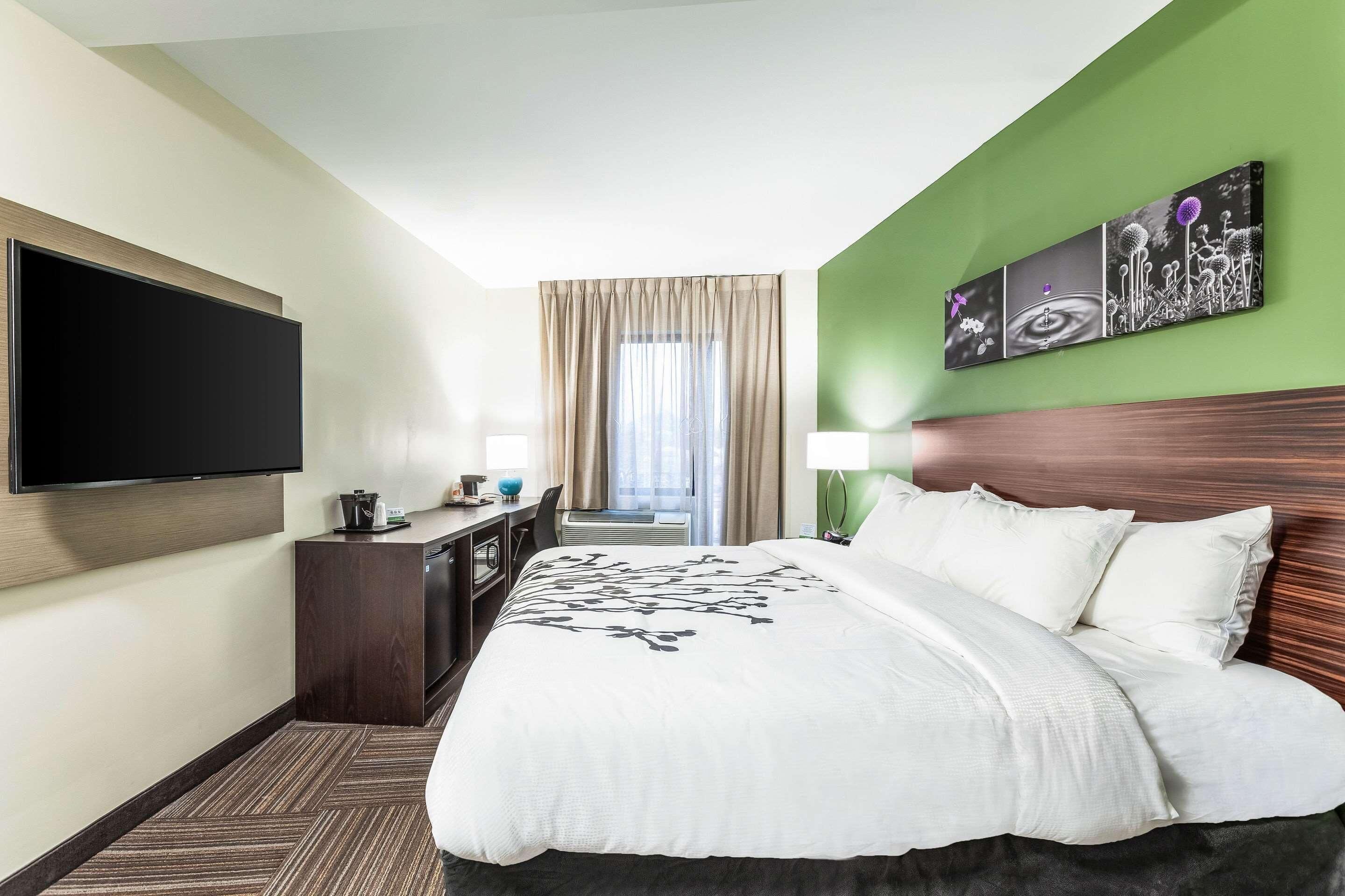 egyptian cotton sheets, premium bedding, down duvets, memory-foam beds