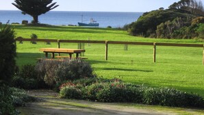 Eine grüne Fläche mit einer hölzernen Bank, einem Picknicktisch und Blick auf das Meer, wo ein Boot in der Ferne zu sehen ist.