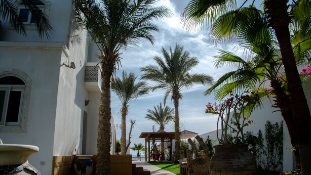 Garden - Villa Jacaranda (Sharm El Sheikh)