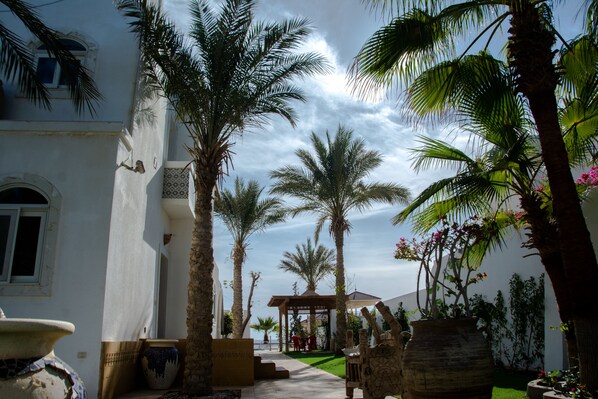 Garden - Villa Jacaranda (Sharm El Sheikh)