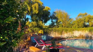 Un jardin avec une piscine, des chaises longues et des plantes en pot.