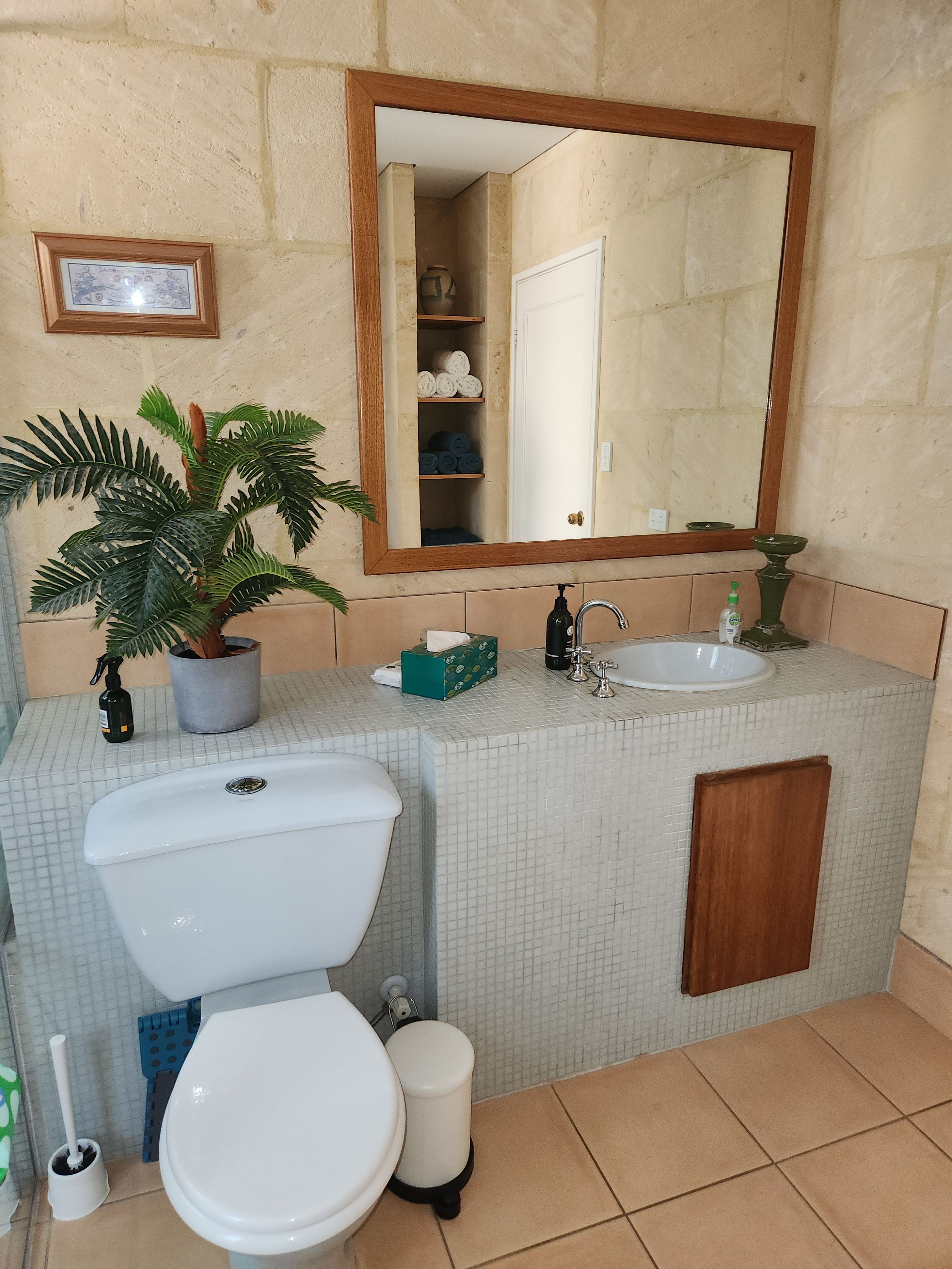 Une salle de bain avec des toilettes, un lavabo et un miroir.