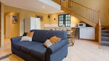 Smart TV, fireplace, DVD player, toys