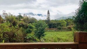 A view of a lush green landscape with a wooden bench in the foreground, a field, and a mountain range in the background. - Jia's Homestay (Lugu)