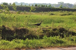 المنطقة المحيطة بالمنشأة