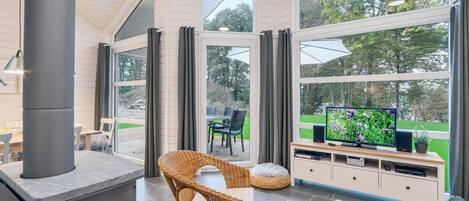 TV, fireplace, DVD player