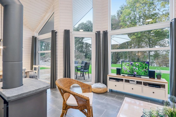 Una televisión, una chimenea, un reproductor de DVD