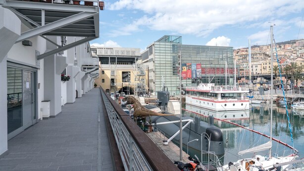 A marina with boats docked, a modern building with a glass facade, and a dinosaur statue on a walkway.