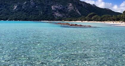 LUXURIOUS BERGERIE **** in stone. Private, heated swimming pool. Quiet and mountain views.