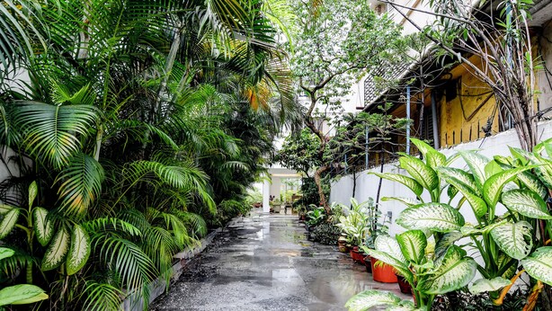 A narrow, wet pathway flanked by lush tropical plants, leading to a building entrance. - The Residency (Kolkata)