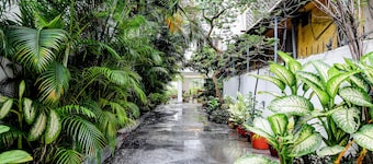 The Residency