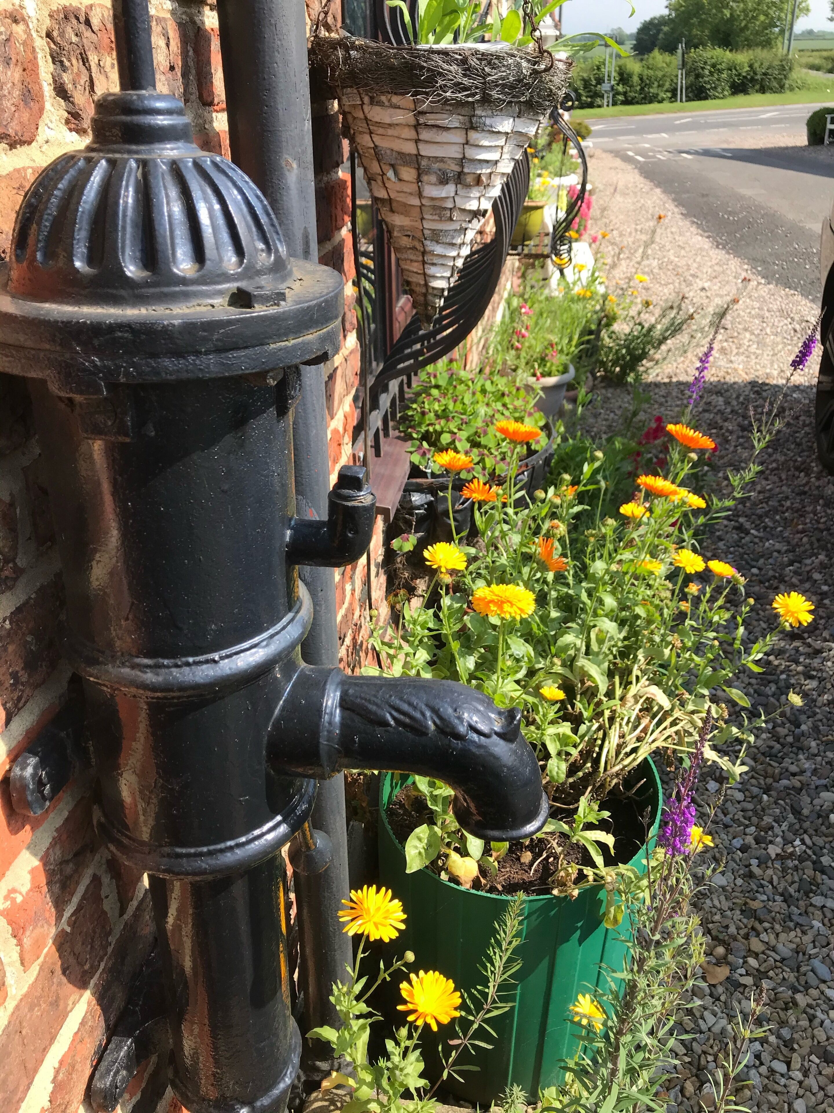 A black fire hydrant next to a brick wall and a green planter with yellow flowers.