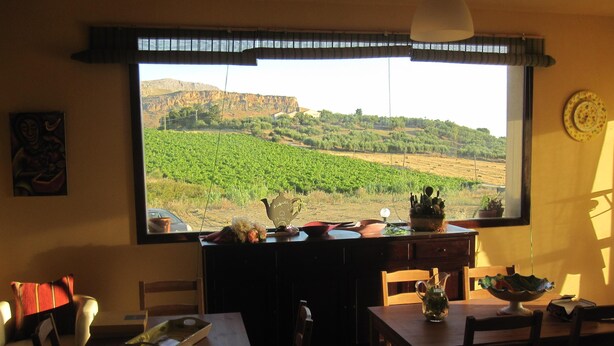 Un comedor con un amplio ventanal con vistas a un viñedo.