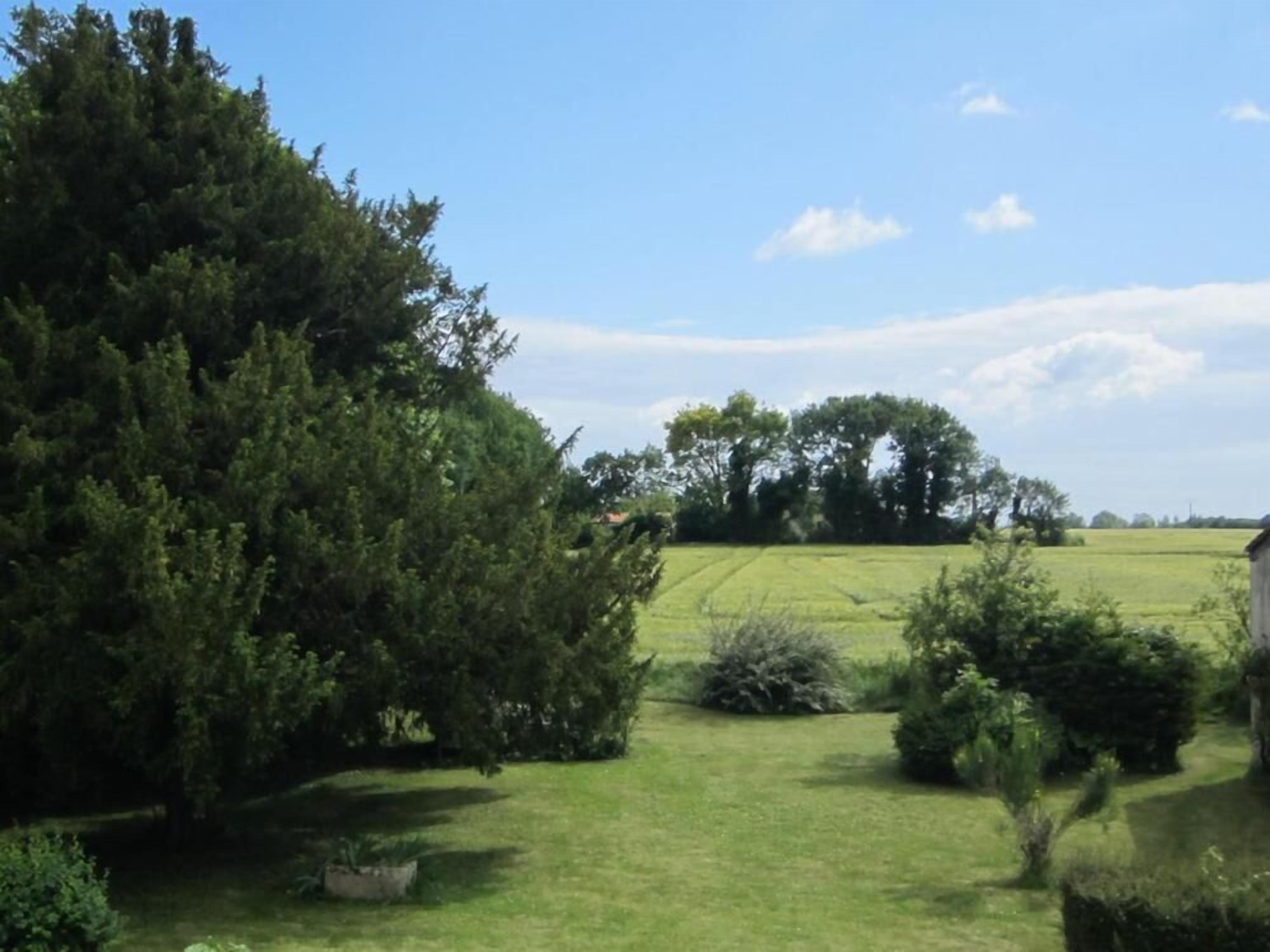 Un paysage rural avec un grand arbre, un champ d’herbe et un bâtiment visible au loin.