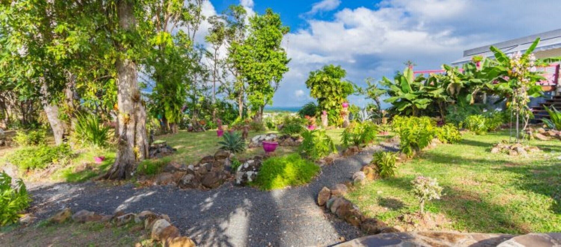 A garden with a gravel path, various plants, and trees.