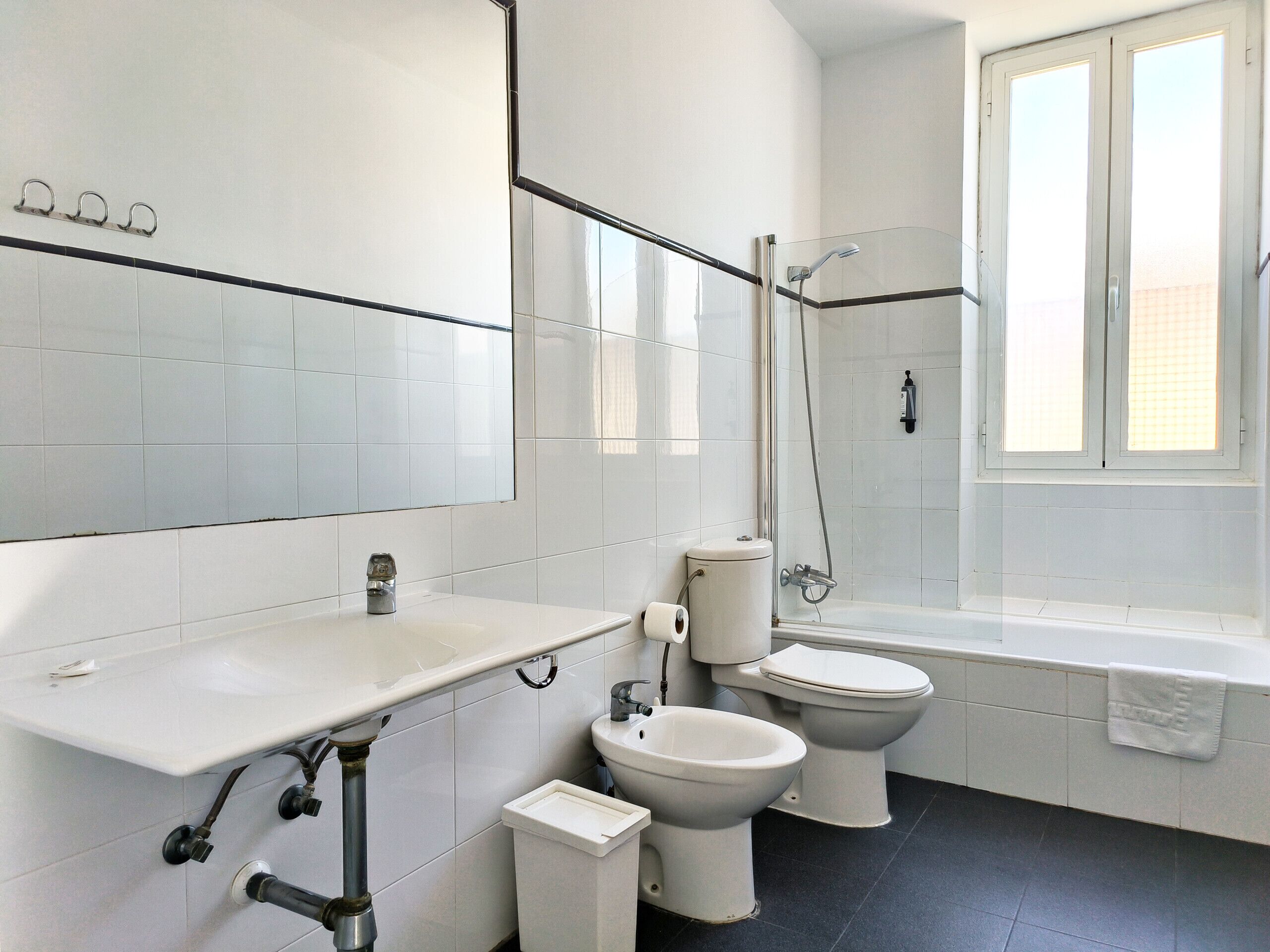 Een bad, een haardroger, een bidet, handdoeken