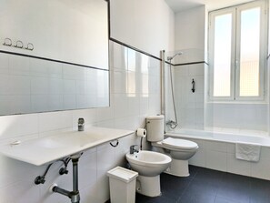 Bathtub, hair dryer, bidet, towels