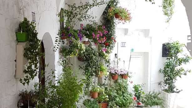 Exterior - White Luxury Suite (Ostuni)