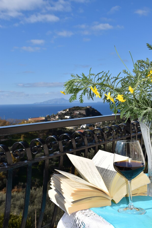 An open book, a glass of red wine, and a vase with yellow flowers on a table with a view of the sea and a distant town.