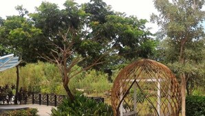 A garden with a pergola structure surrounded by lush greenery and a paved walkway. - Kelapa Gading House (Jakarta)
