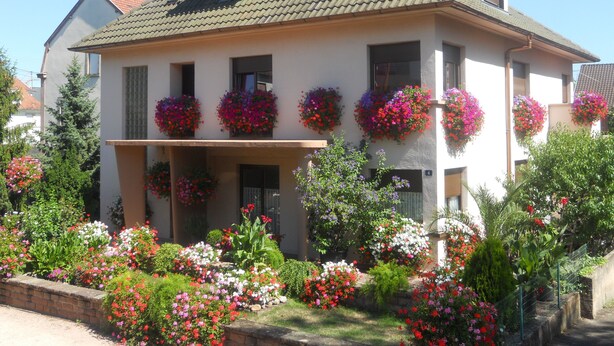 Una casa de dos pisos con balcón, jardineras y un jardín con diversas plantas y flores.