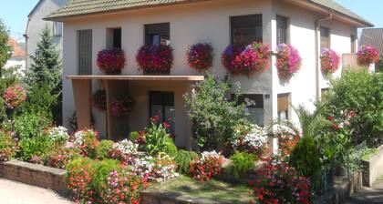 Comfortable apartment house in central Alsace