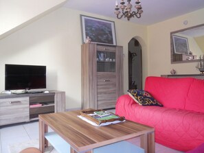 TV, DVD player, stereo - Comfortable apartment on 2nd floor in a house in the center of Alsace. (Sélestat)