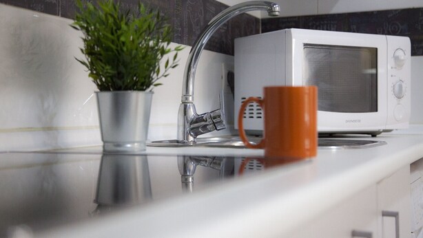 A kitchen with a white microwave, a stainless steel sink, and a potted plant. - Flats Friends Tetuan 2 bedrooms (Valencia)