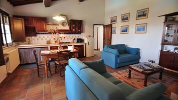 TV, fireplace, books, stereo