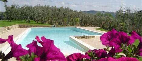 Piscine extérieure