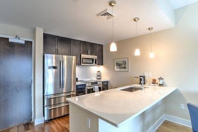 Pet Friendly Downtown Condo