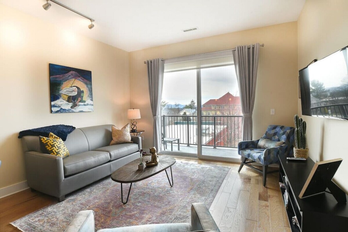 Pet Friendly Downtown Condo