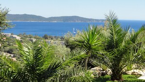 Un paysage côtier offrant une vue sur la mer, avec des collines à l’horizon et une végétation luxuriante au premier plan.
