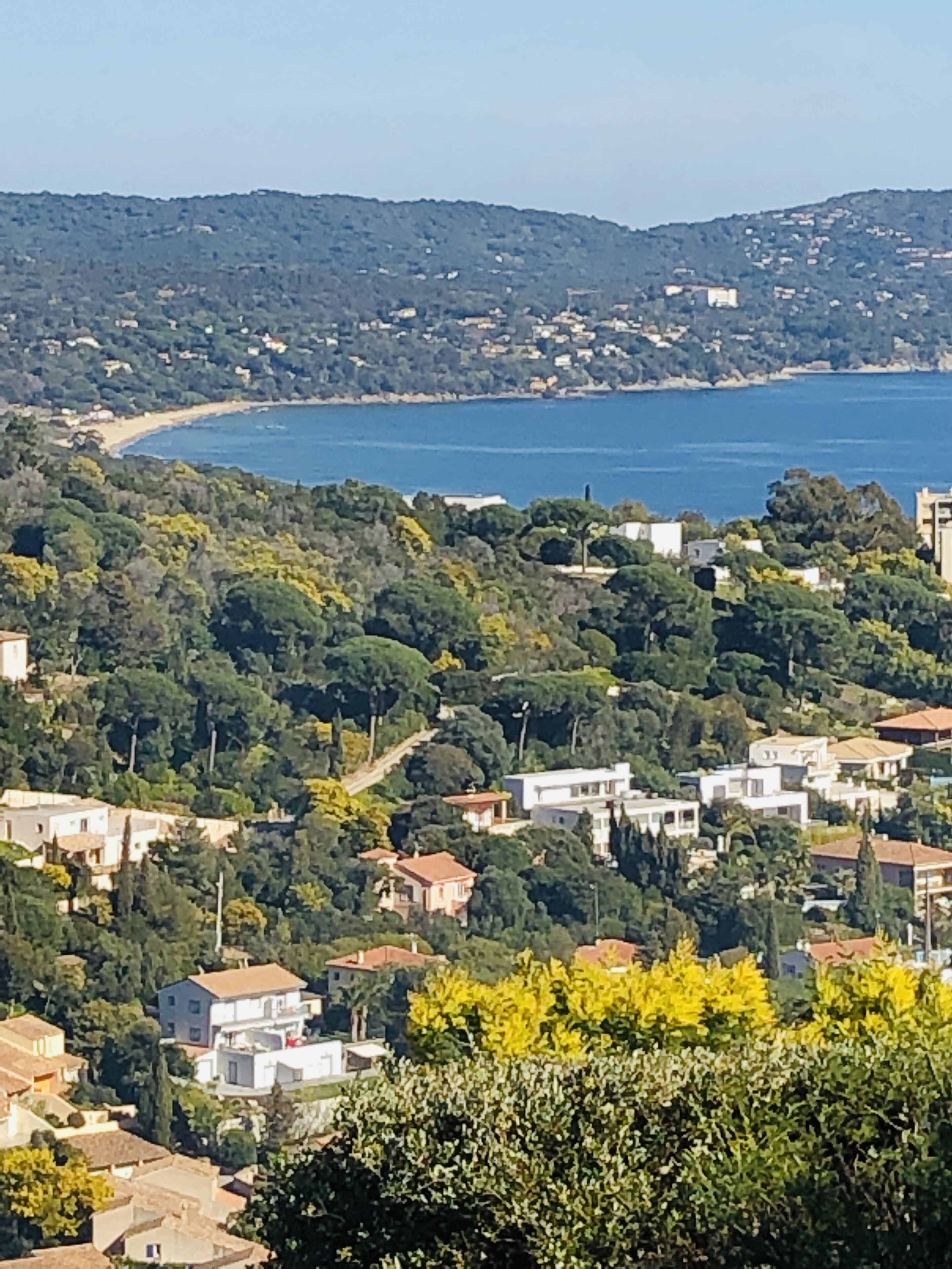 A coastal town with buildings surrounded by dense greenery and a clear view of the sea.