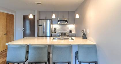 Uusi ylellinen osakehuoneisto keskustassa Asheville Condotel ~ 45 Asheland Ave. Yksikkö # 302