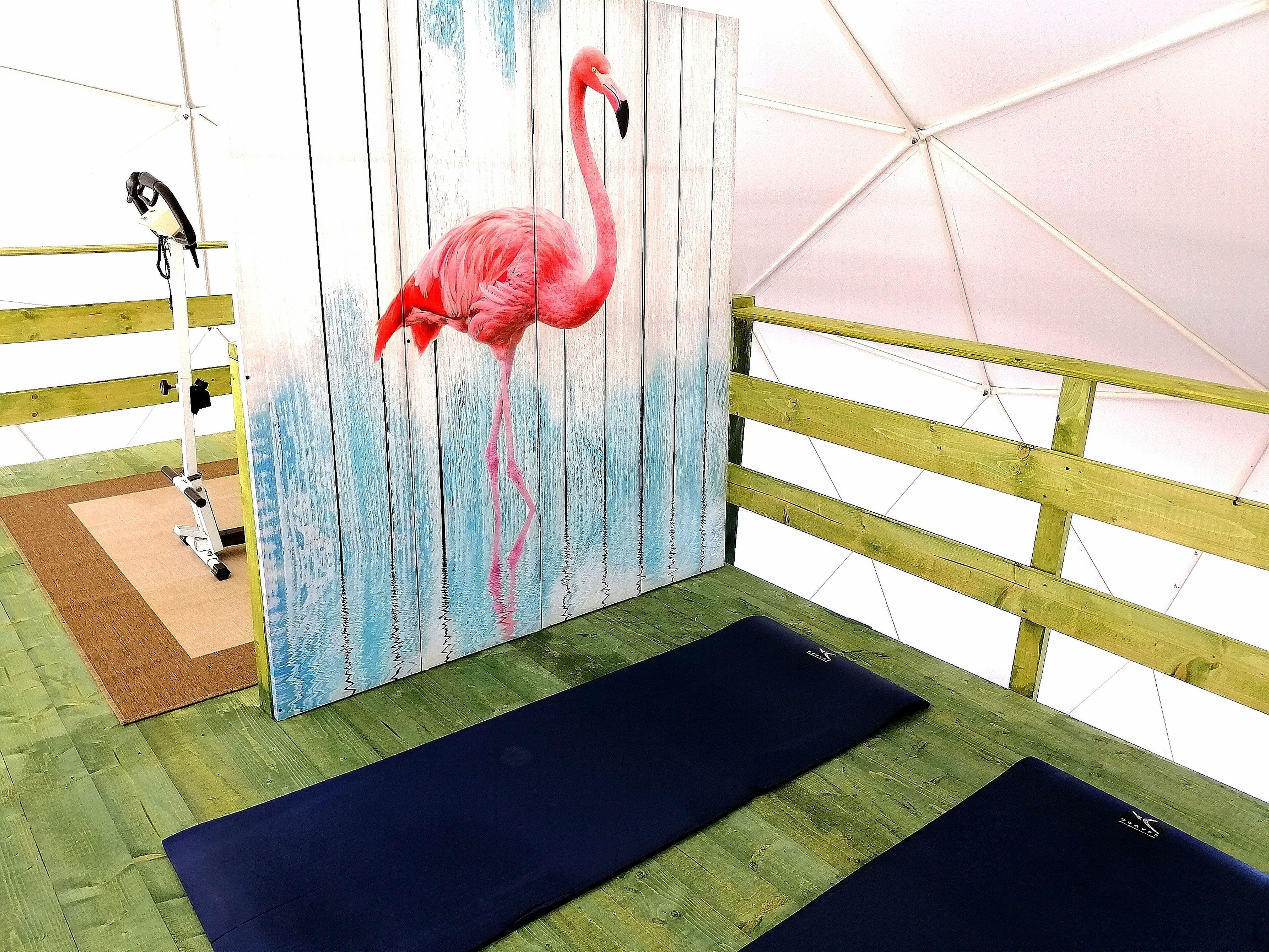 Une pièce avec un plancher en bois, un tableau représentant un flamant rose et des tapis de gymnastique.