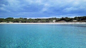 A clear view of a beach with calm waters and a line of trees in the background. - Agriturismo Erbe Matte - Campsite (Sant'Antioco)