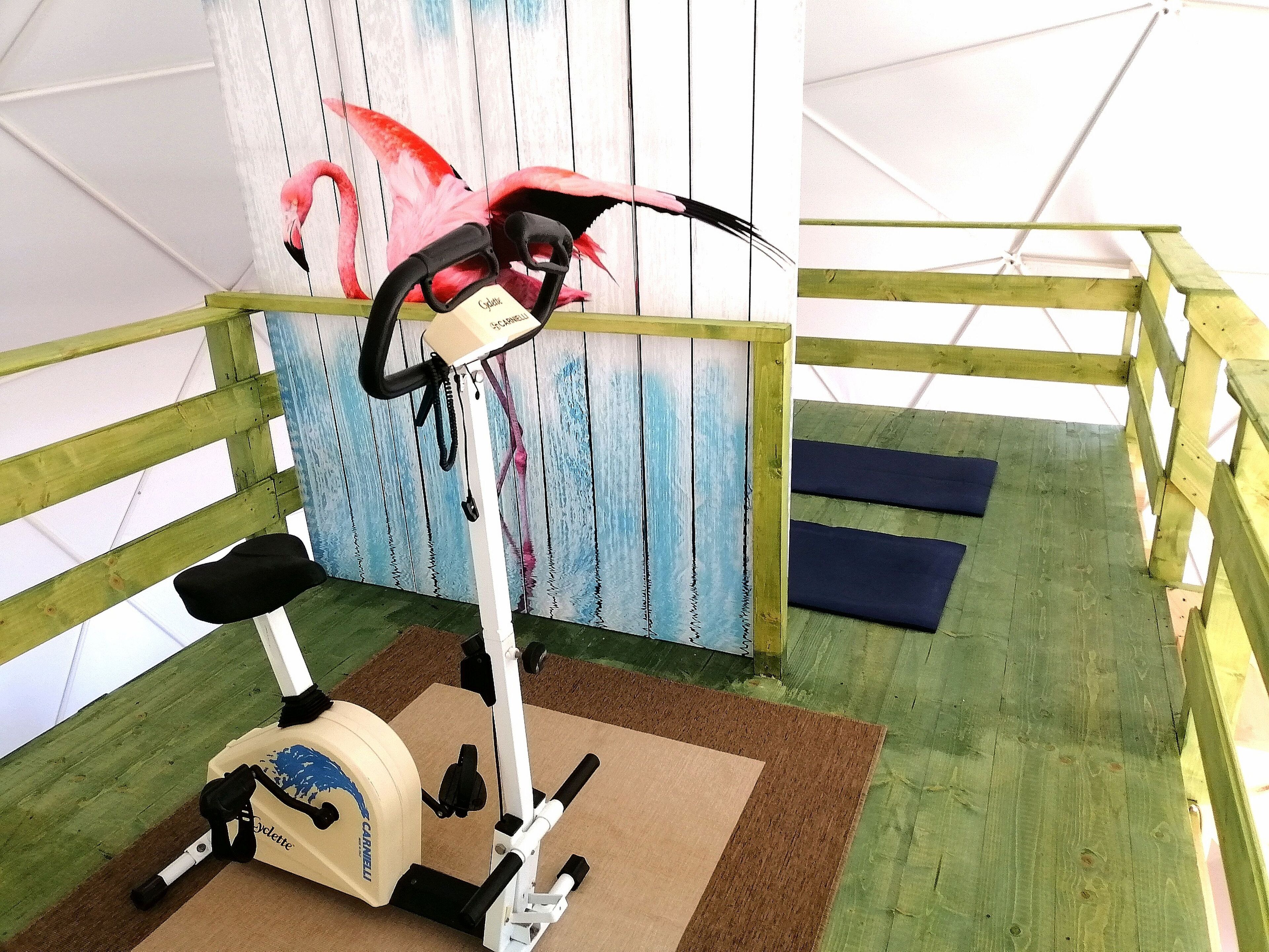 Un vélo d’appartement, équipé d’un porte-bidon, d’un tapis et placé sur un plancher en bois, le tout à l’intérieur d’une structure ressemblant à une tente.