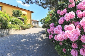 A paved pathway leading to a yellow building with a stone wall and lush pink flowers.