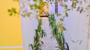 Um caminho estreito ladeado por vegetação verde que leva a um edifício com fachada amarela e branca.