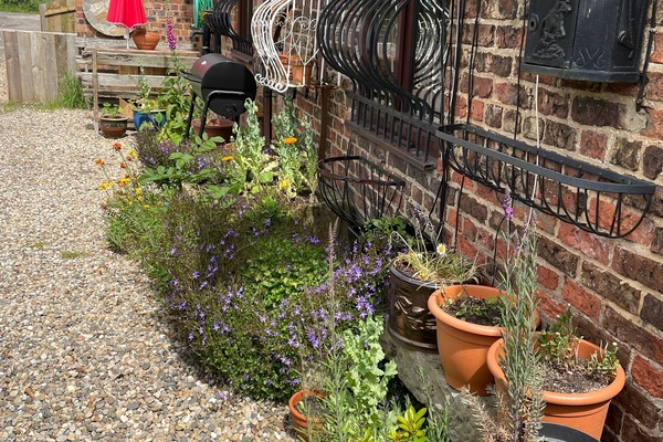 المنطقة المحيطة بالمنشأة