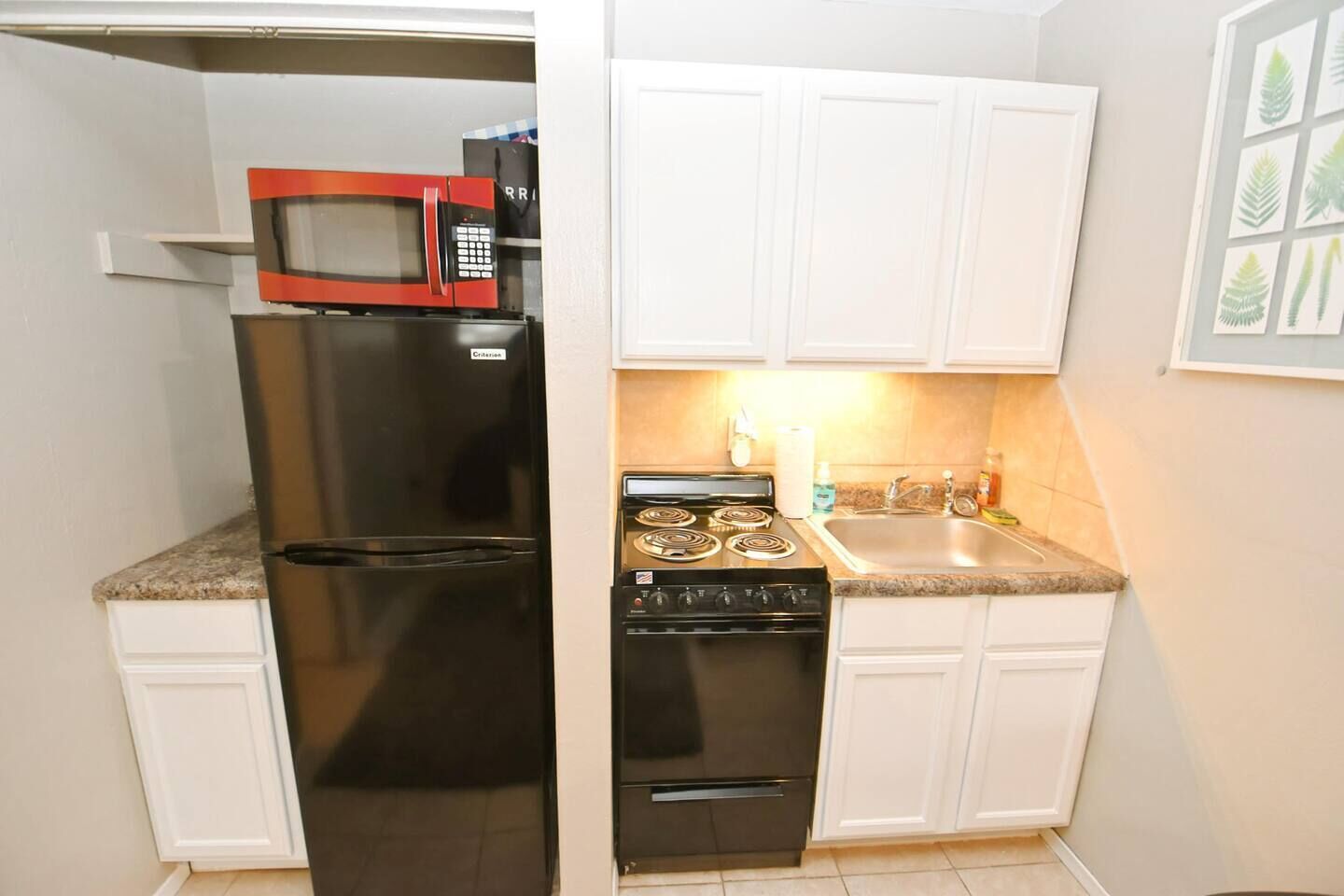 Coffee/tea maker, fridge, microwave, oven