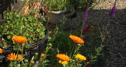 Hayloft - Sleeping 2