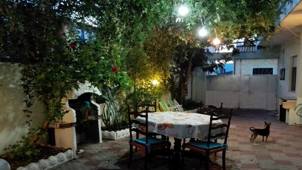 Eine Terrasse im Freien mit Tisch und Stühlen, umgeben von Grünpflanzen und einem kleinen Hund.