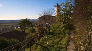 A rural landscape with a church and a dirt path. - Period residence in medieval town in the center of Tuscany (Palaia)