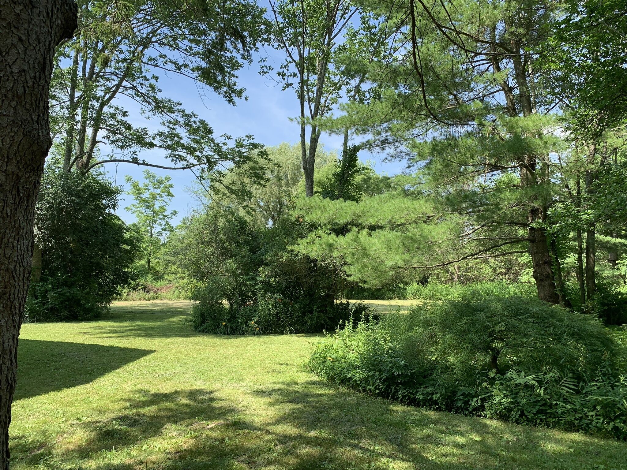 A lush, green park with tall trees and a well-maintained lawn.