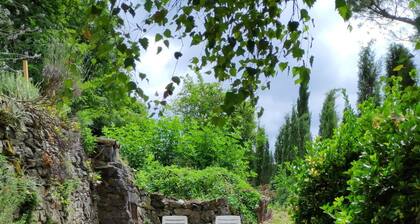 Beautiful stone house, self-catering holidays,Tarn, South West France