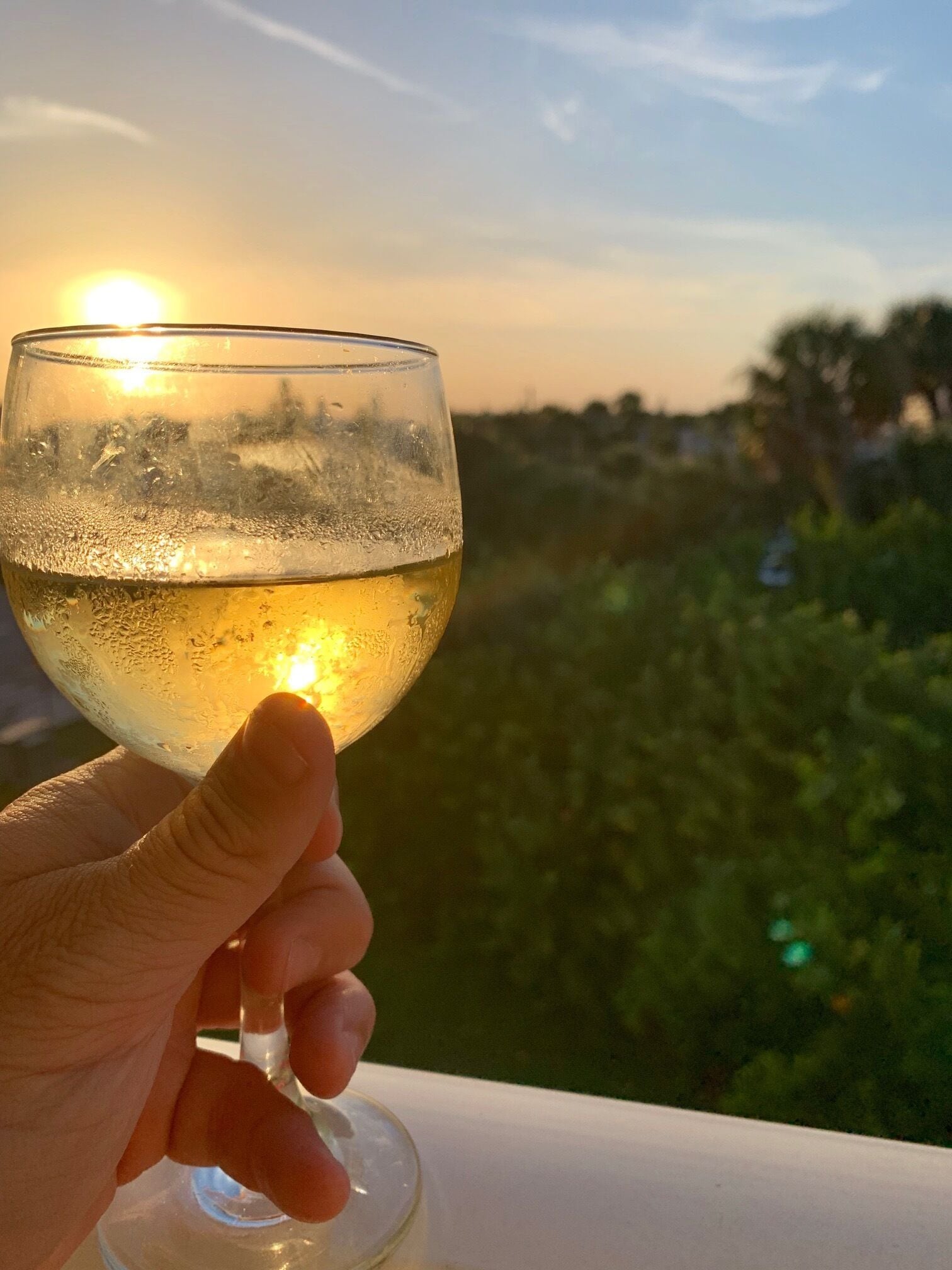 A hand holding a glass of white wine with condensation, set against a backdrop of a sunset and greenery.