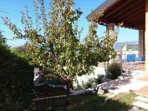 Parco della struttura