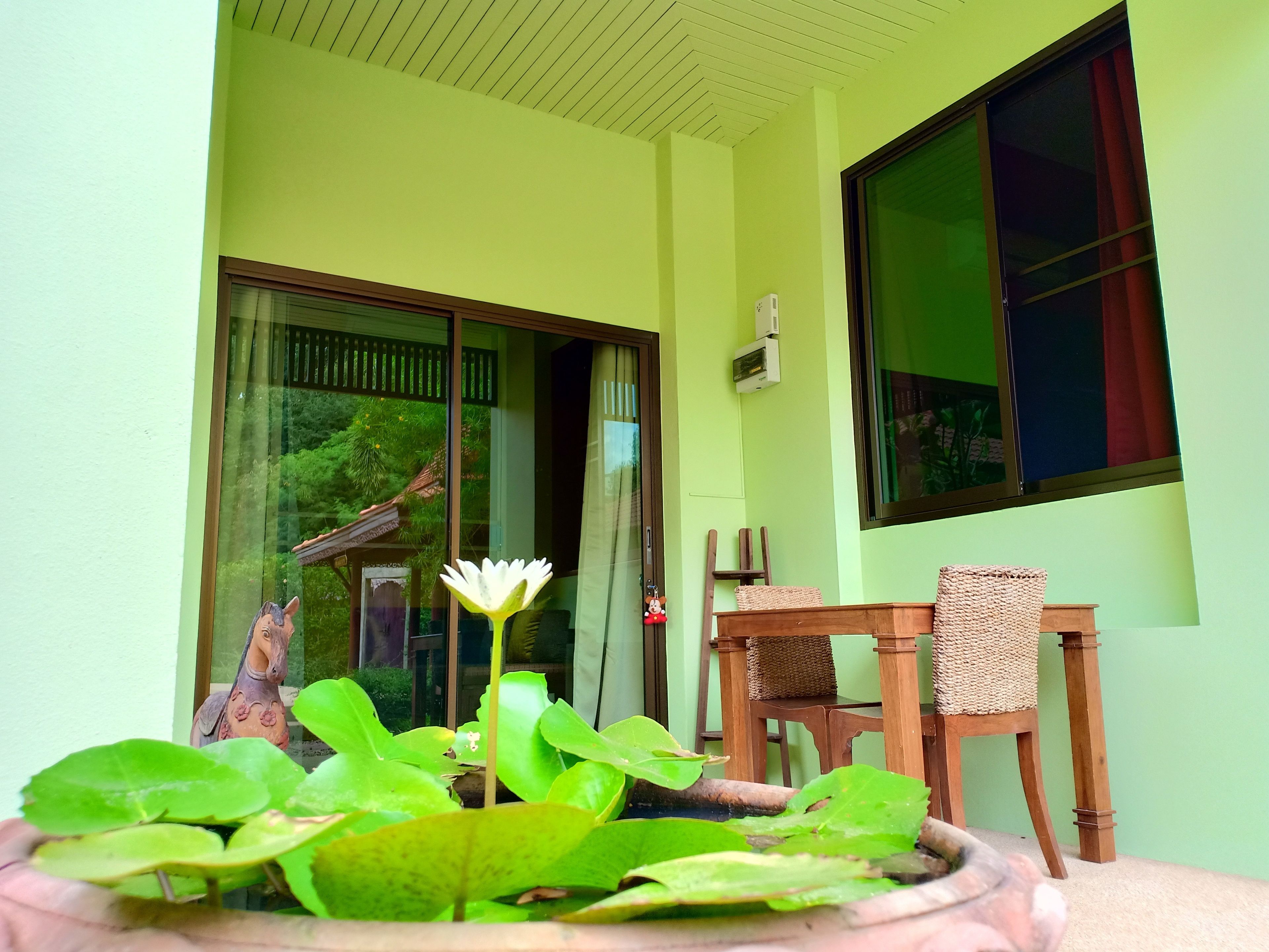 A room with a large window, a potted plant with a white flower, and a wooden chair.
